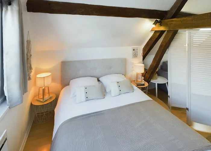 Studio Deschainets Troyes Gare Et Centre Historique