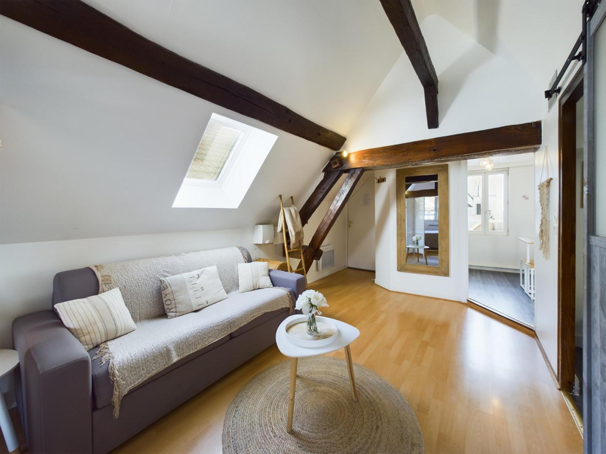 Apartment Deschainets Gare Et Centre Historique Troyes